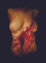 I Slice Her Body, Over And Over