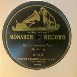 Up in a Cocoanut Tree