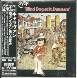 Blind Dog at St. Dunstans