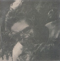 As Good as It Gets: The Ultimate Emmett Grogan Acetates