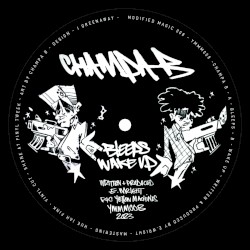 Bleeps / Wake Up