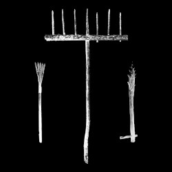 Acoustic Live (Vivid)