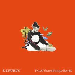 I Need You (Adriatique remix)