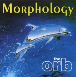 Morphology