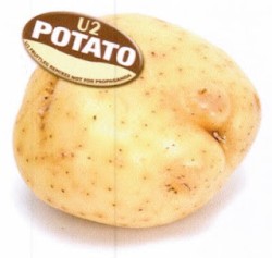 Potato: U2 Fruitleg Remixes Not for Propaganda