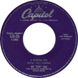 A Blossom Fell / If I May