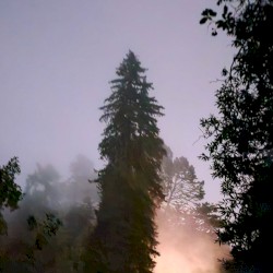 2026 Edits (up for 48hrs)