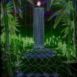 仮想雨林 (𝓥𝓲𝓻𝓽𝓾𝓪𝓵 𝓻𝓪𝓲𝓷𝓯𝓸𝓻𝓮𝓼𝓽)