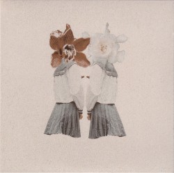 あたらしいからだ