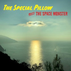 The Special Pillow Meets the Space Monster
