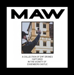 A Collection of EMF Drones Captured in the Vicinity of Eggenberg Castle