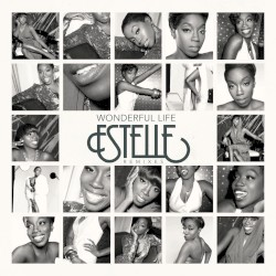 Wonderful Life (remixes)