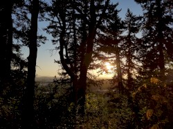 Season 01 Episode 07