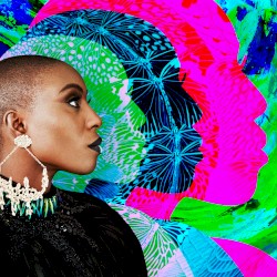 Phenomenal Woman (Remixes)