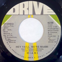 Hey Ya'll, We're Miami / Chicken Yellow