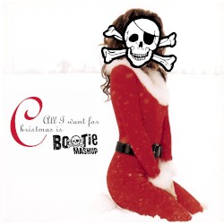 All I Want for Christmas Is Bootie Mashup