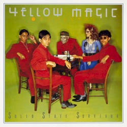 Solid State Survivor