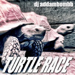 Turtle Race