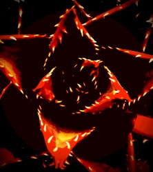 World on Fire