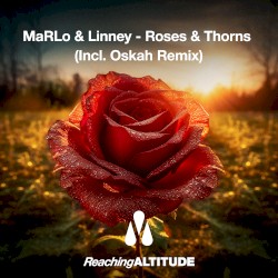 Roses & Thorns