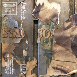 Let the Ladder Come Down