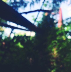 Perpetual Seeds for Fleeting Time