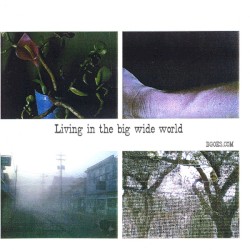 Living in the Big Wide World