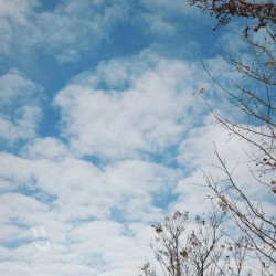 i still see your ghost