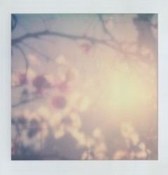 Radiant Emptiness