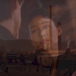 Twin Peaks Diaries 数1