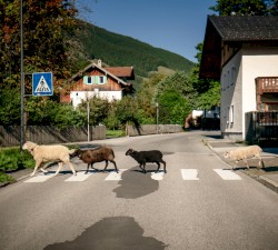 I mecht an Landla hean