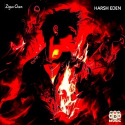 HARSH EDEN (Remixes)