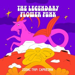 Zodiac Trip: Capricorn