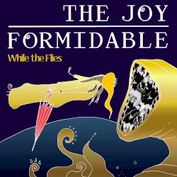 While the Flies (acoustic)