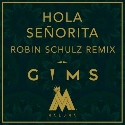 Hola Señorita (Robin Schulz remix)