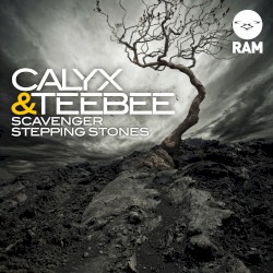 Scavenger / Stepping Stones