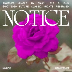 Notice (remixes)