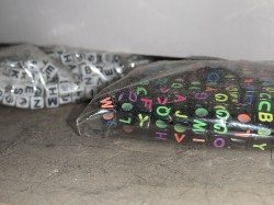 Freeroam 136 :: Real-Light Relations From the Second Meeting Which Now Achieved Near Doubleweek Transcendence IV -- "room idle ivy leaf"