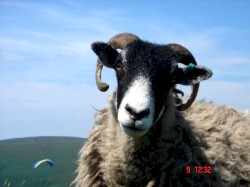 Rushup Edge