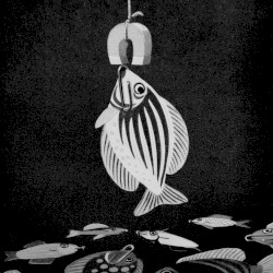 Day, Time Variations