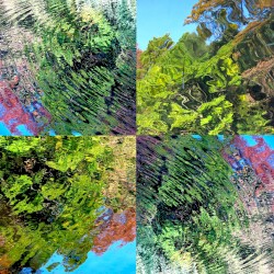 Colors of Quantum Ghost