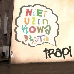 Nietuzinkowa płyta