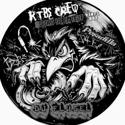 DJ FLUGEL RTBS CREW (VINYL 002 PESADILLA)
