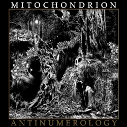 Antinumerology