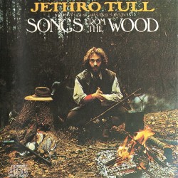 Songs From the Wood