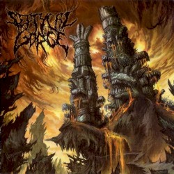 Erase the Insignificant