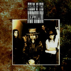 Genesis & Revelation