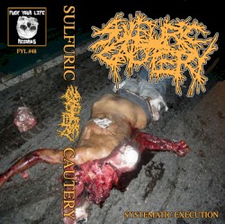 Systematic Execution Tour Tape 2016