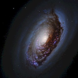 M64