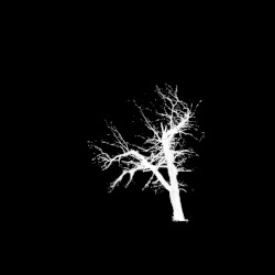 Unohdetun rituaalin planeetta